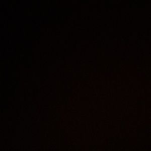 Meet your Posher, Carmen